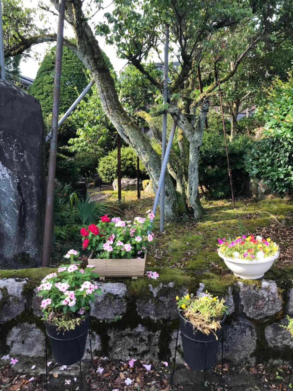 Kizuna No Ie Uozu Exterior foto